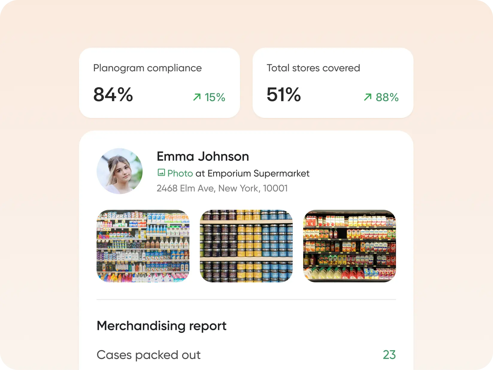 Retail Execution Software alt=
